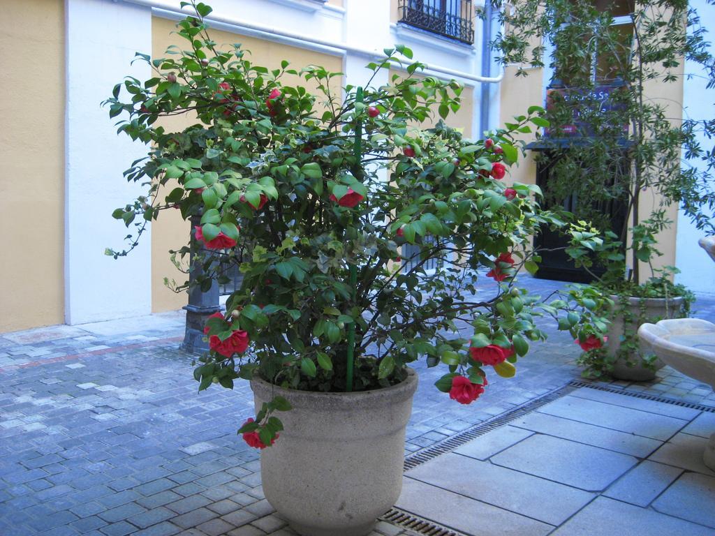 Hostal Huespedes Toledo Madrid Luaran gambar