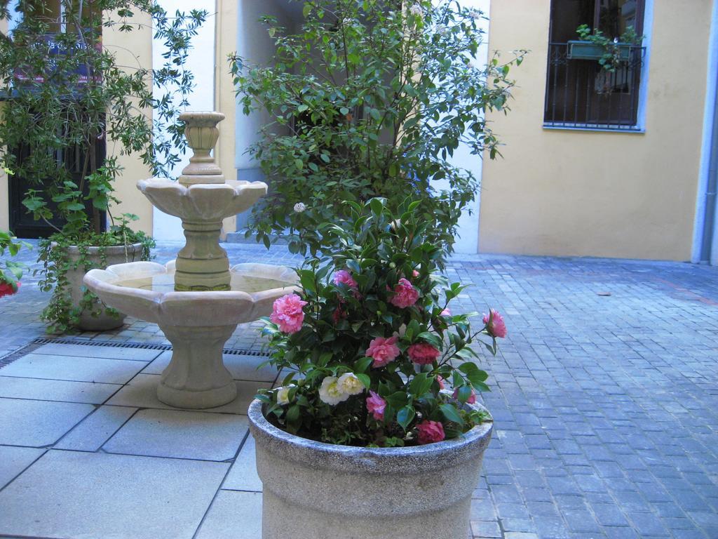 Hostal Huespedes Toledo Madrid Luaran gambar