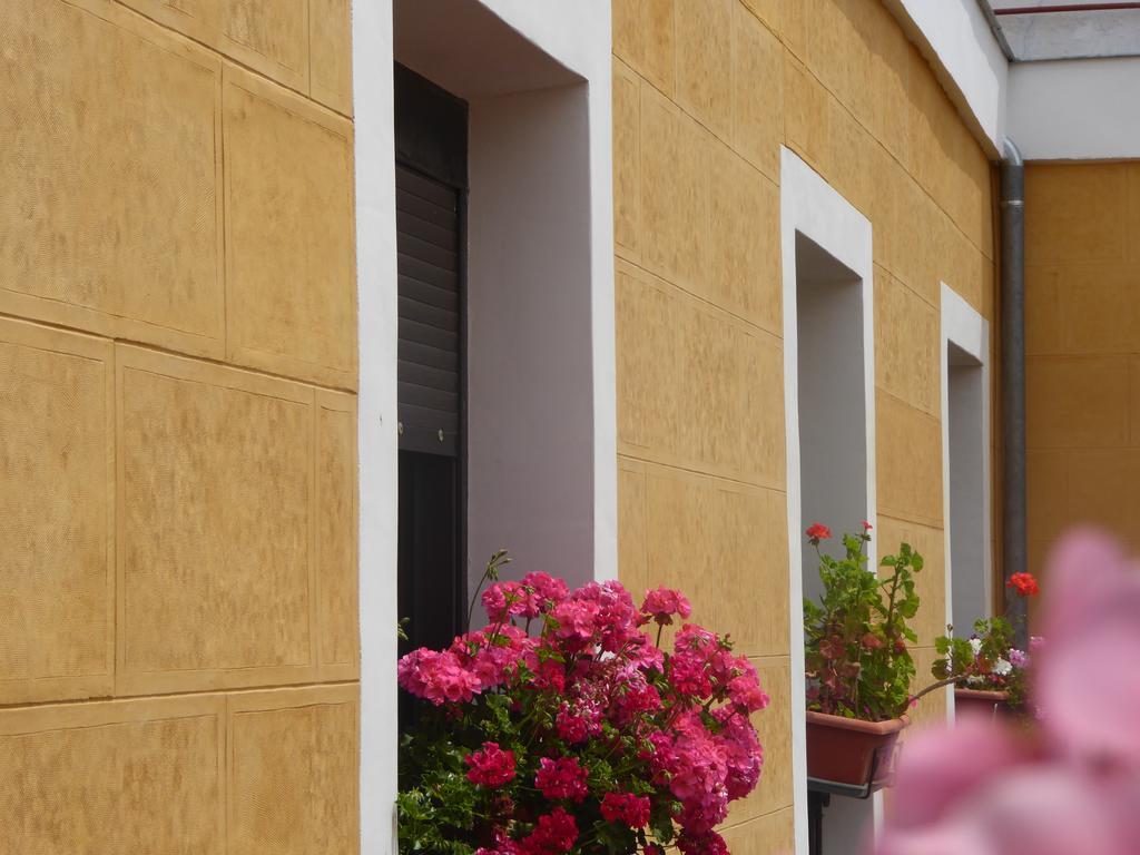 Hostal Huespedes Toledo Madrid Luaran gambar