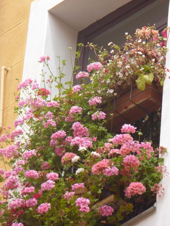Hostal Huespedes Toledo Madrid Luaran gambar