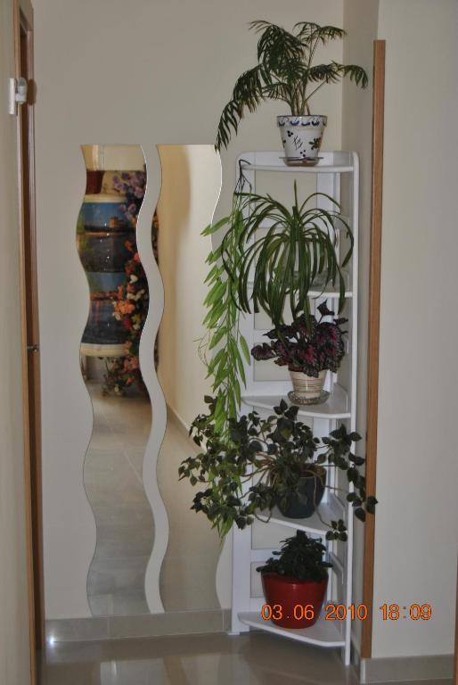 Hostal Huespedes Toledo Madrid Luaran gambar